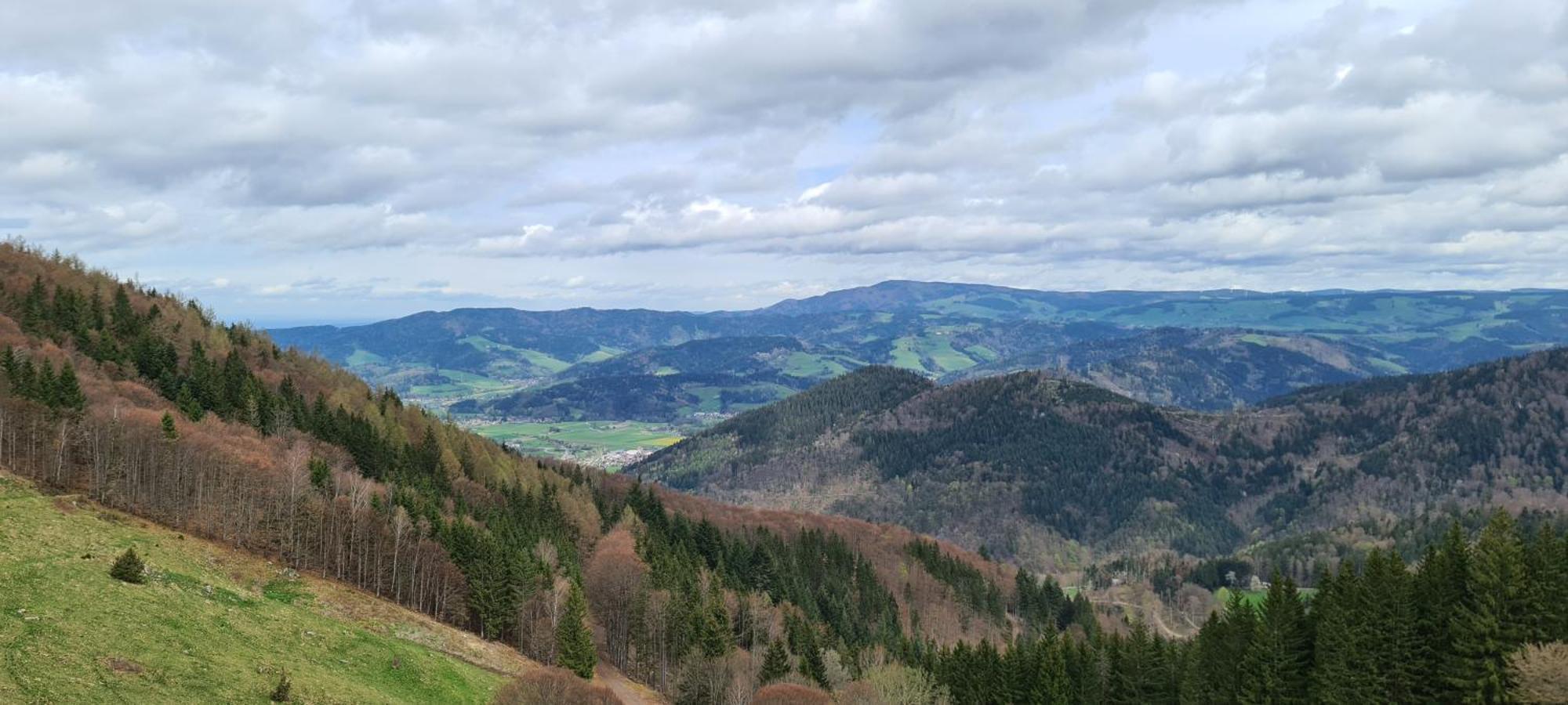 Apartmán Haus Anna-Marie Feldberg  Exteriér fotografie